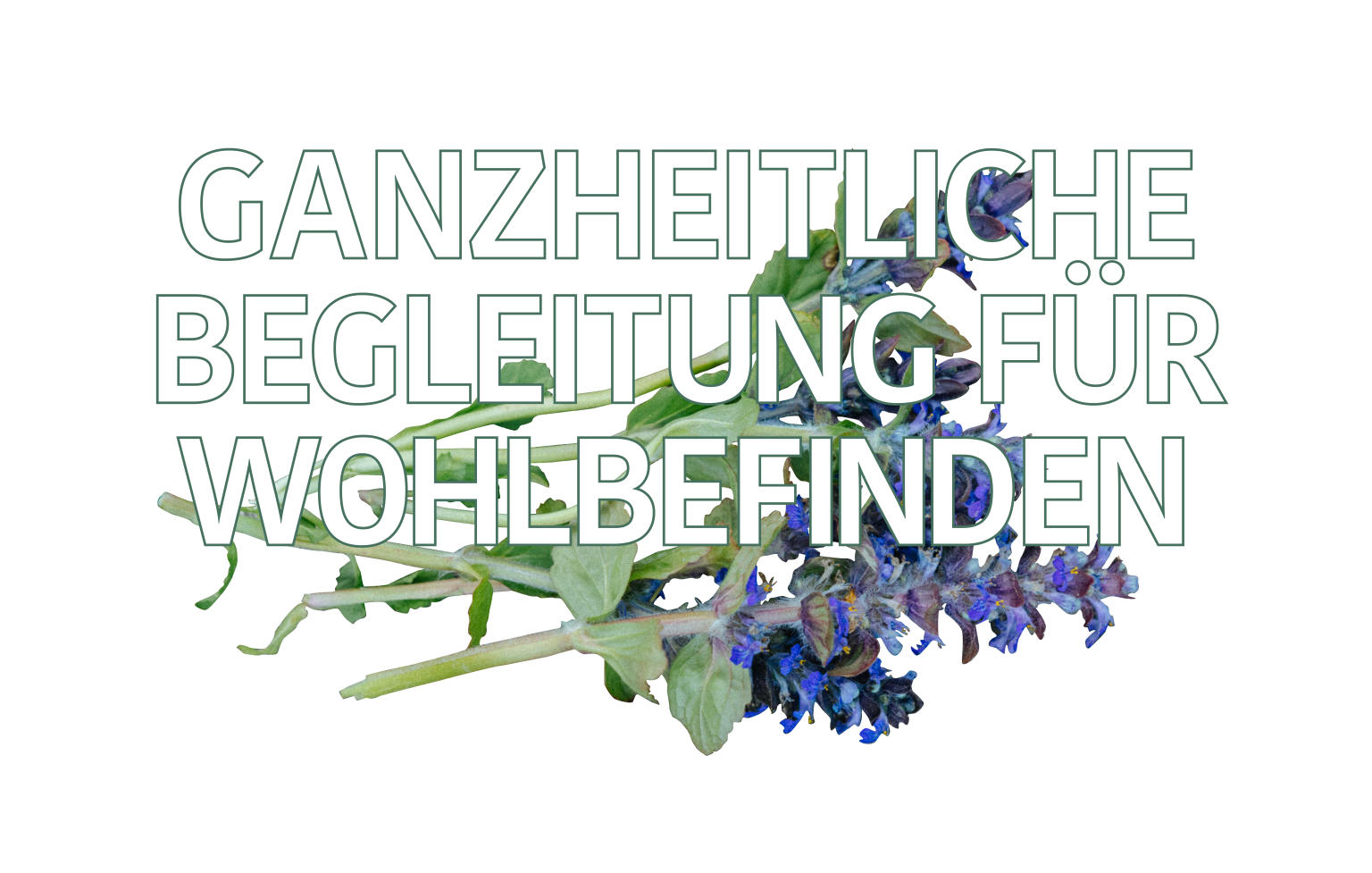 Ganz begleiten